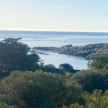 Maison de pêcheur vue mer, grand jardin Cadaqués Extérieur photo