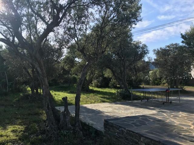 Maison de pêcheur vue mer, grand jardin Cadaqués Extérieur photo
