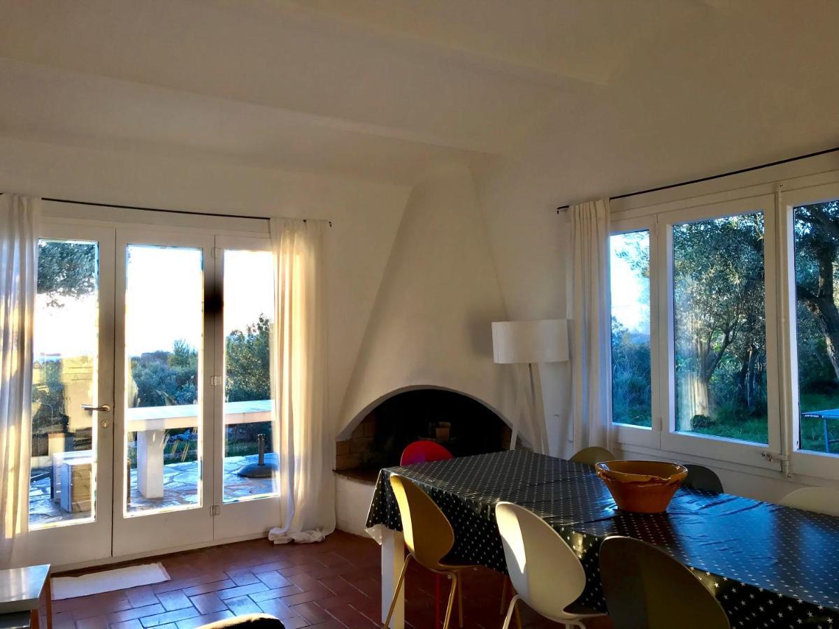 Maison de pêcheur vue mer, grand jardin Cadaqués Extérieur photo