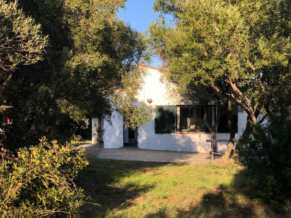 Maison de pêcheur vue mer, grand jardin Cadaqués Extérieur photo