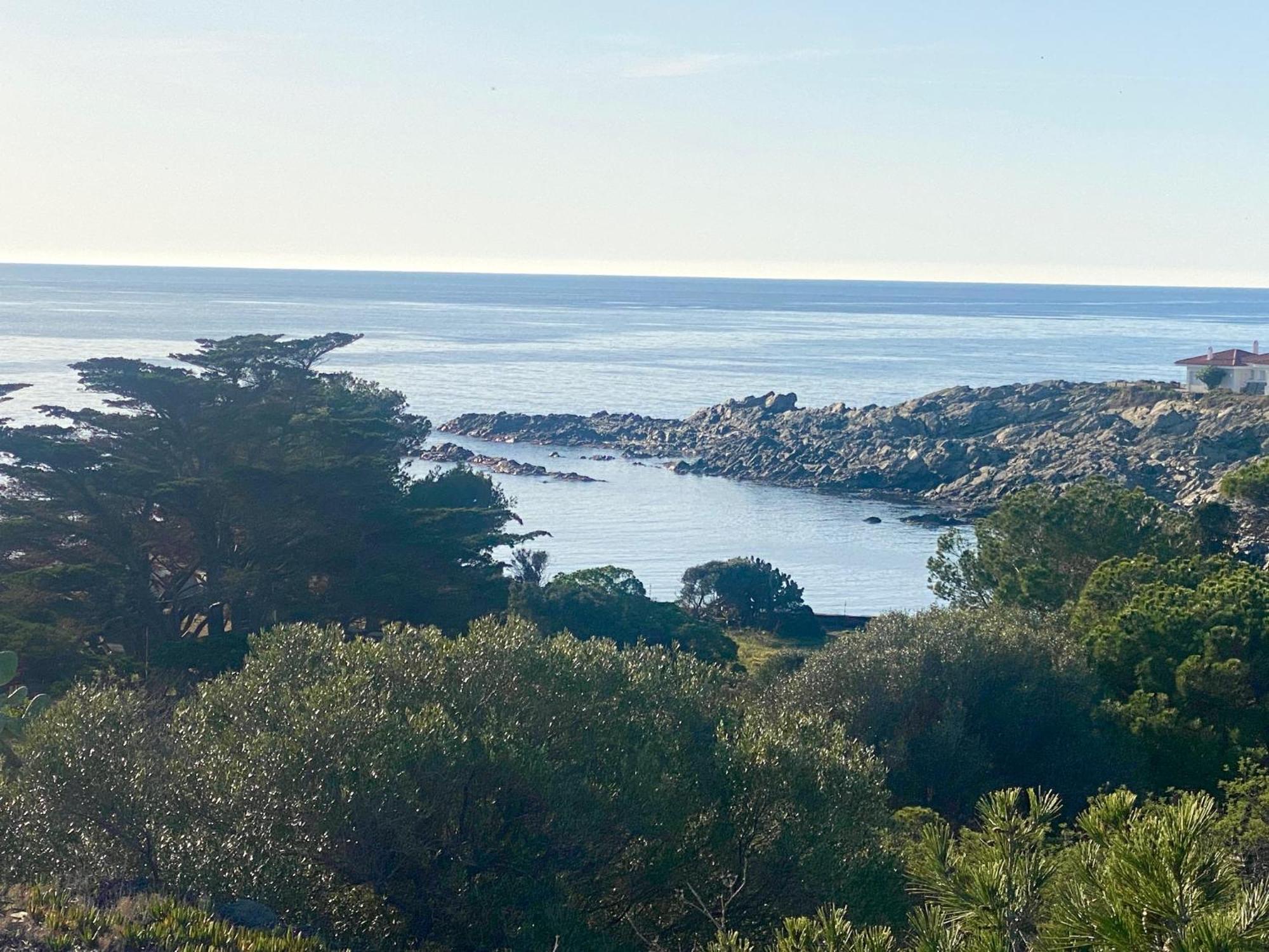Maison de pêcheur vue mer, grand jardin Cadaqués Extérieur photo